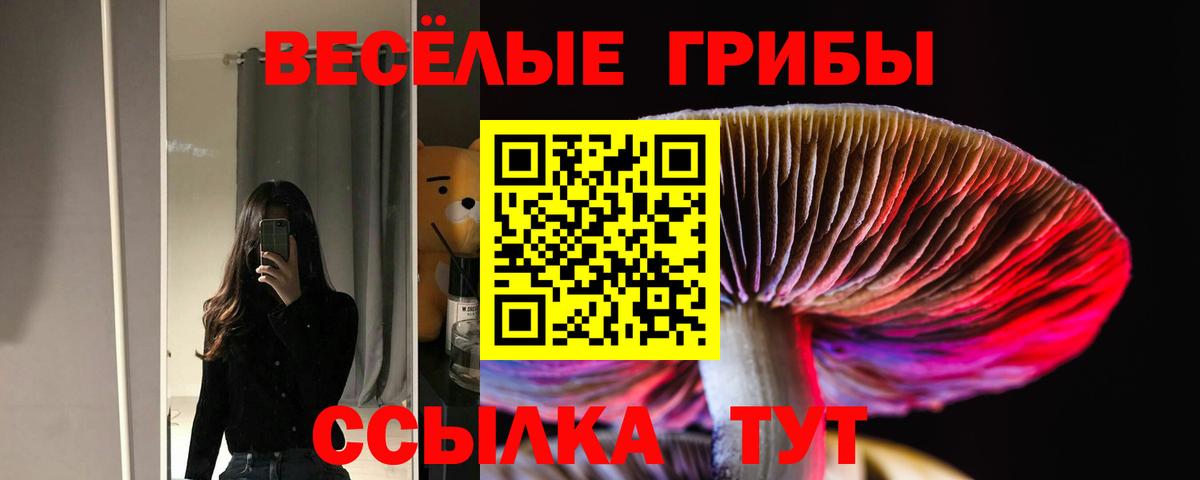 Псилоцибиновые грибы MAGIC MUSHROOMS  Галлюциногенные грибы ЛСД  Берёзовский  Вход с VPN 