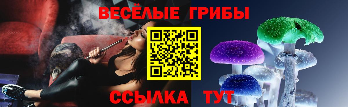 Галлюциногенные грибы Psilocybe Берёзовский
